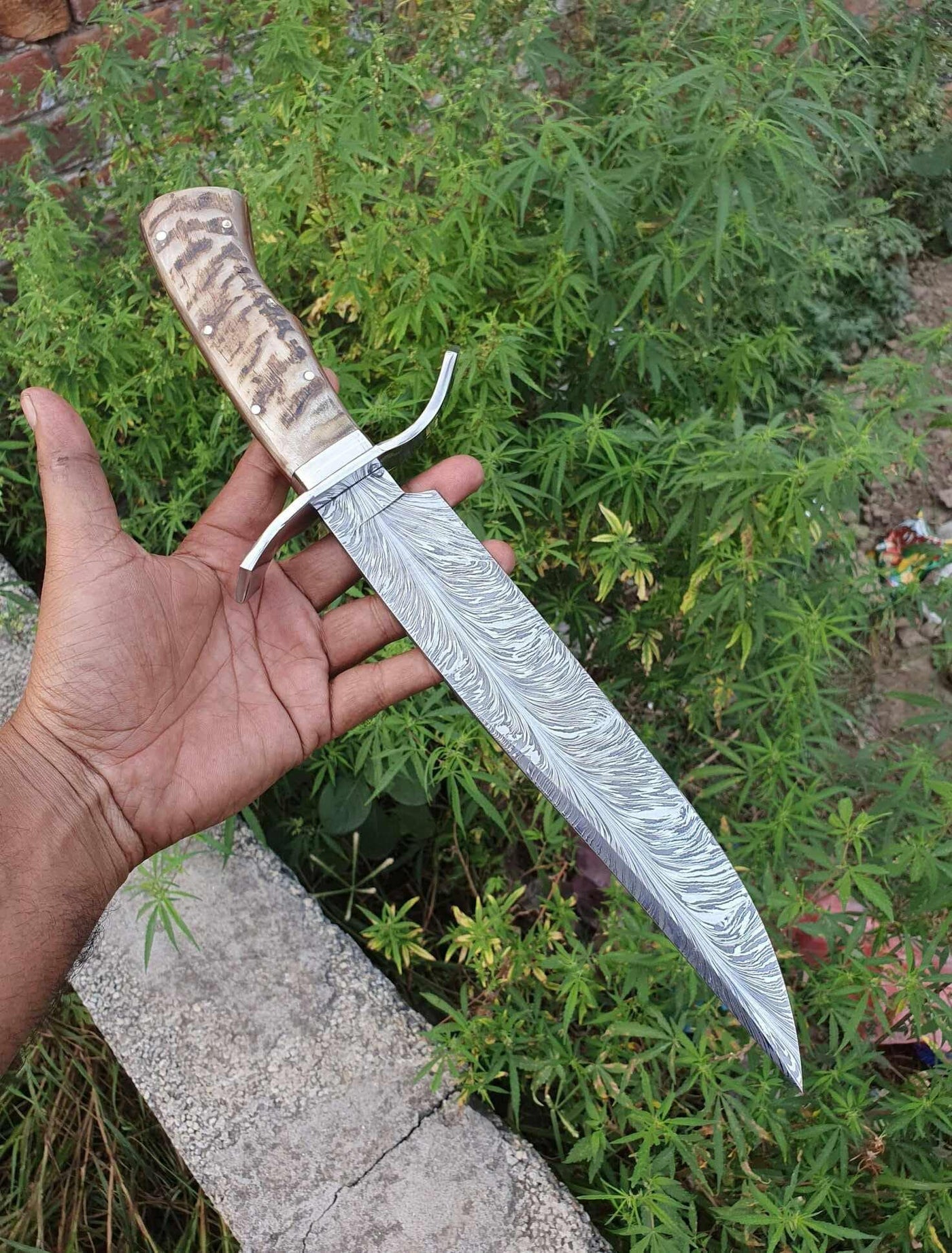 Damascus Steel Feather Pattern Bowie Knife Ram Horn Handle