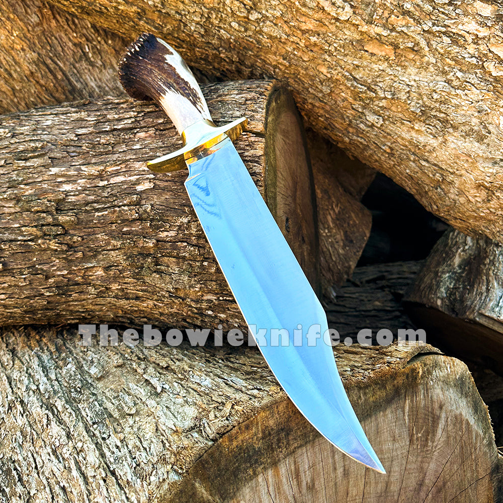 Top Best Bowie Knife Solid Brass Guard Stag Crown Handle With Knife Sheath BK-08
