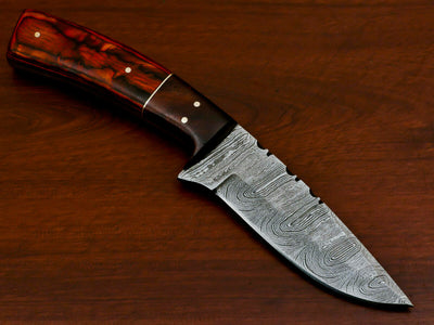 5 Pieces Offer Custom Damascus Handmade Skinning Knife SK-03