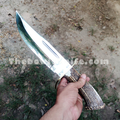 Stag Handle Bowie Knife High Polished DK-175
